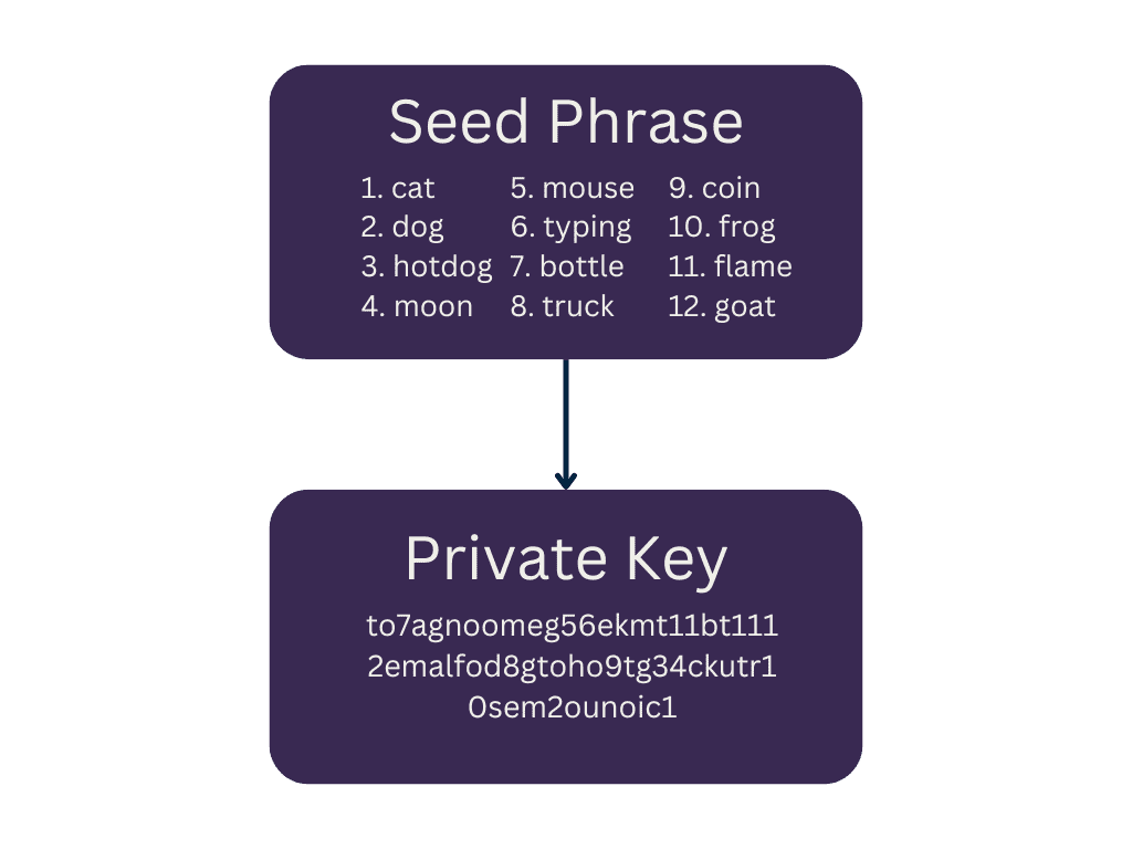 Seed Phrase vs Private Key example